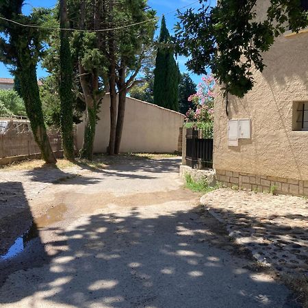 Le Studio D Aurelie Avec Spa Ete En Pleine Campagne Et Proche De Toute Commodite Roquemaure  Dış mekan fotoğraf