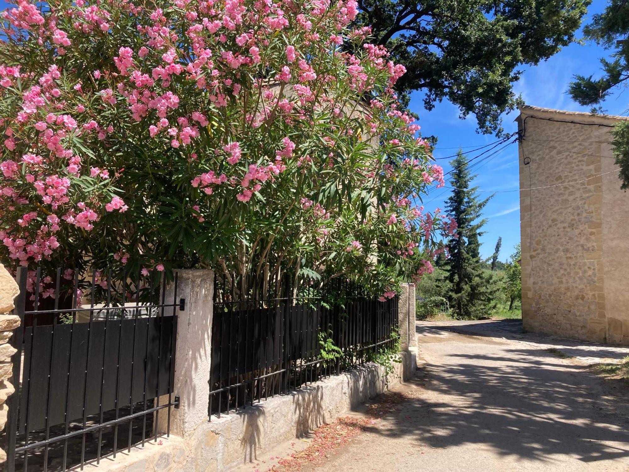 Le Studio D Aurelie Avec Spa Ete En Pleine Campagne Et Proche De Toute Commodite Roquemaure  Dış mekan fotoğraf